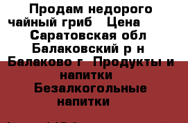 Продам недорого чайный гриб › Цена ­ 300 - Саратовская обл., Балаковский р-н, Балаково г. Продукты и напитки » Безалкогольные напитки   